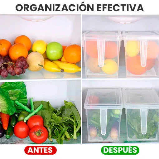 ORGANIZADOR CON TAPA TRANSPARENTE - PAGA 1 LLEVA 3